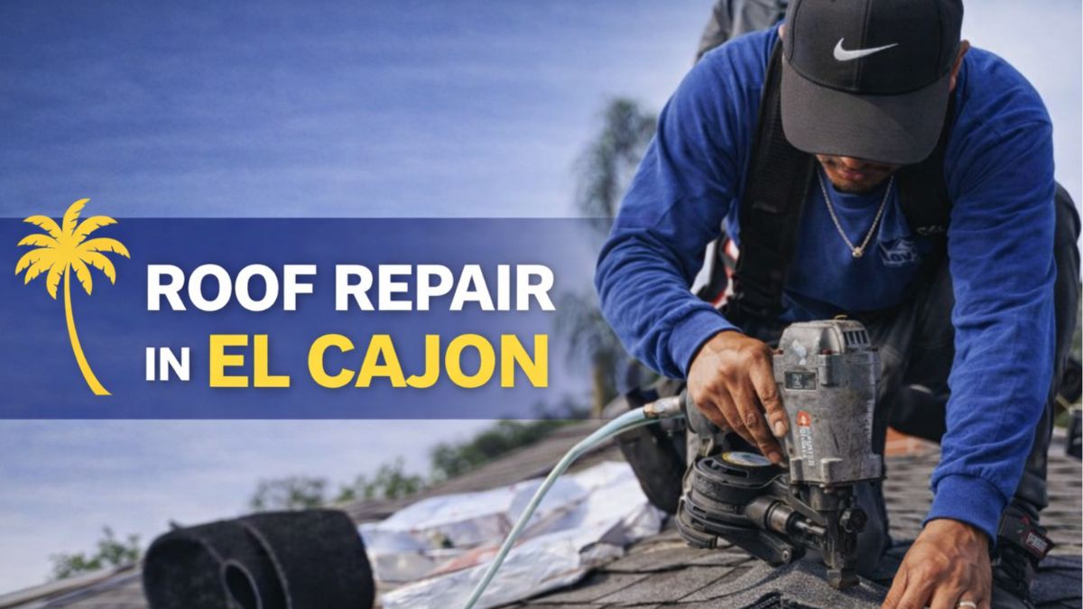 Roof repair assessment